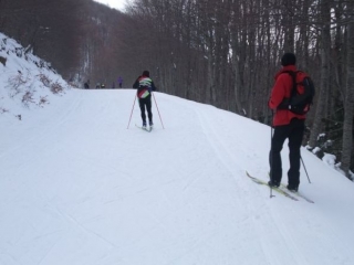  Cross-country skiing lessons 